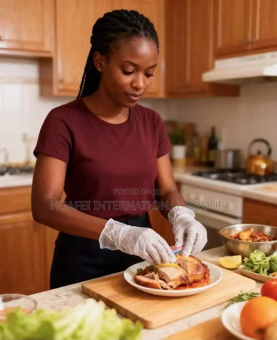 Disposable Nylon Glove