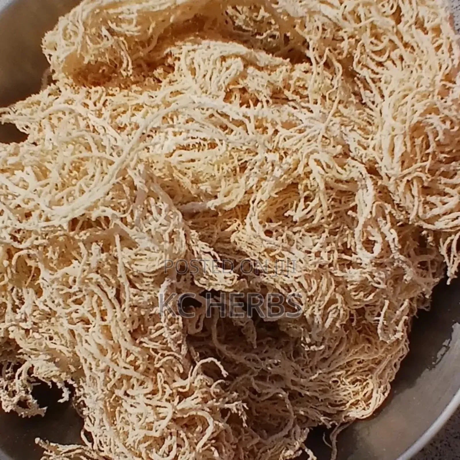 Sea Moss (From 50g)