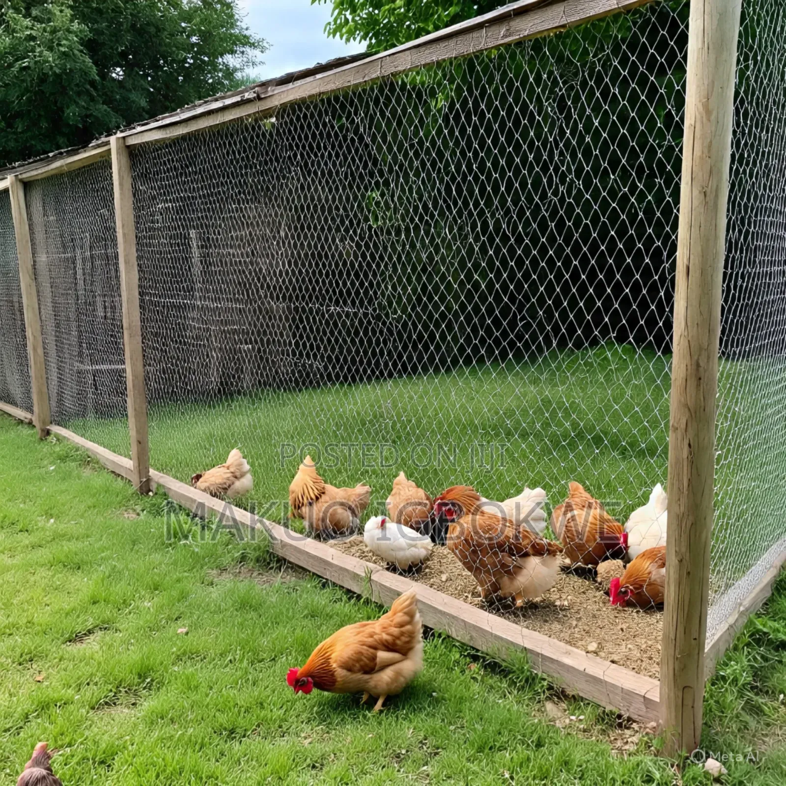Thick Chicken Wire Mesh Width - 1.2m by Length - 45m