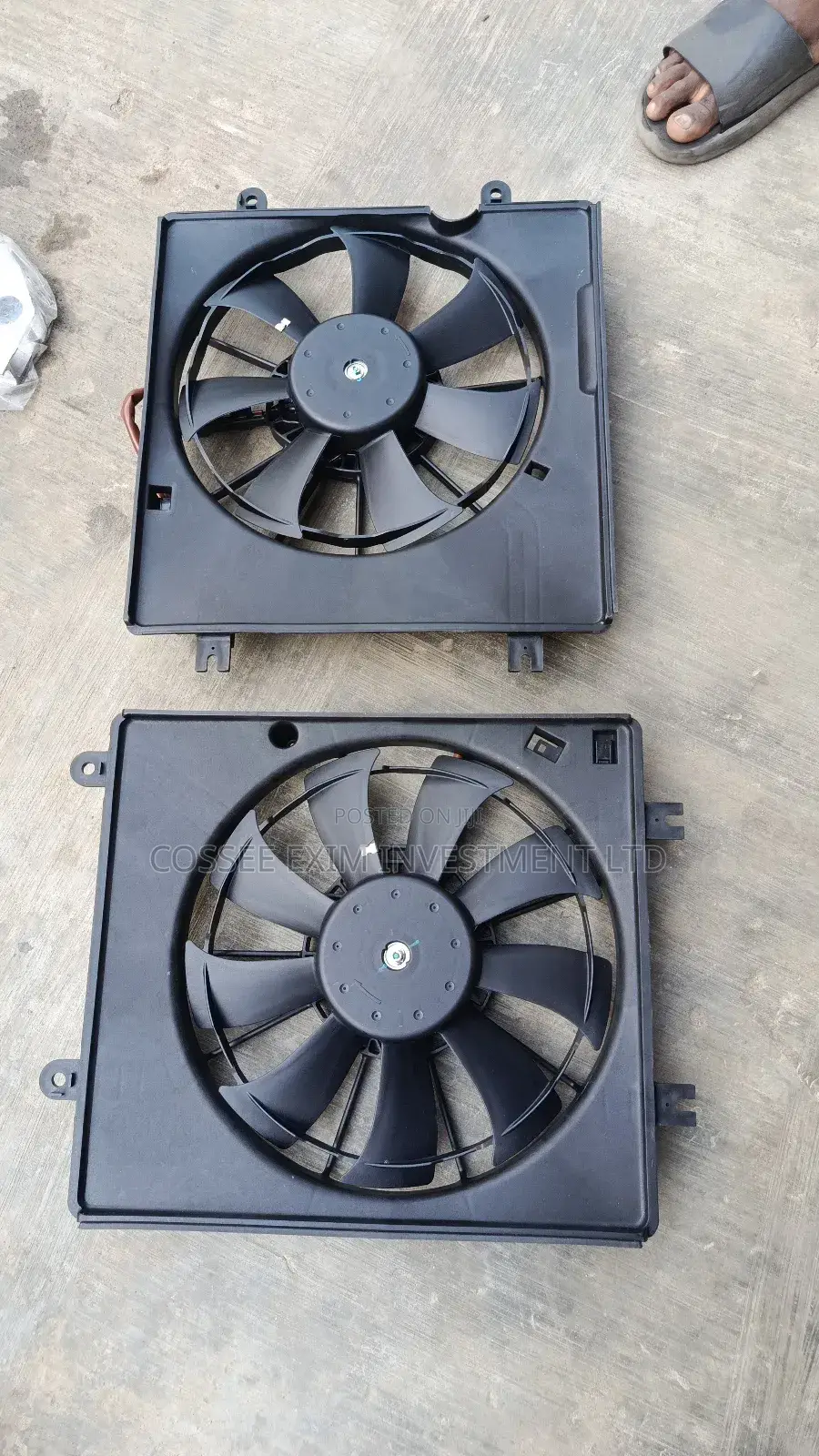 Radiator Fan Honda Accord 2024