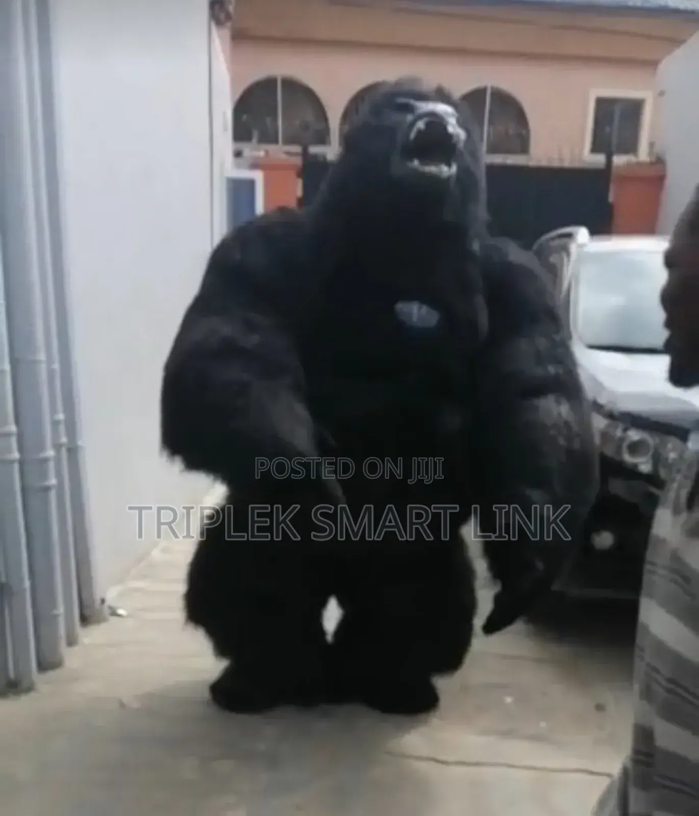 Giant Inflatable Gorilla Costume