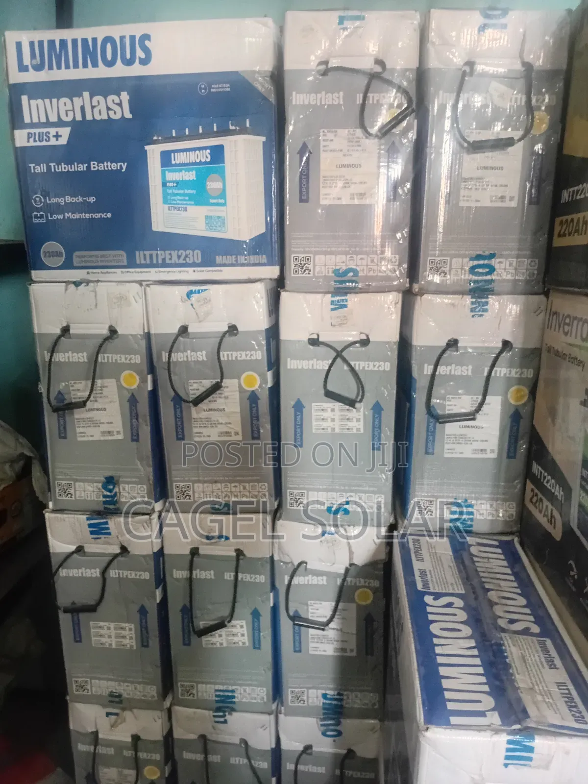 Luminous 230ah Inverlast Plus Tall Tubular Battery