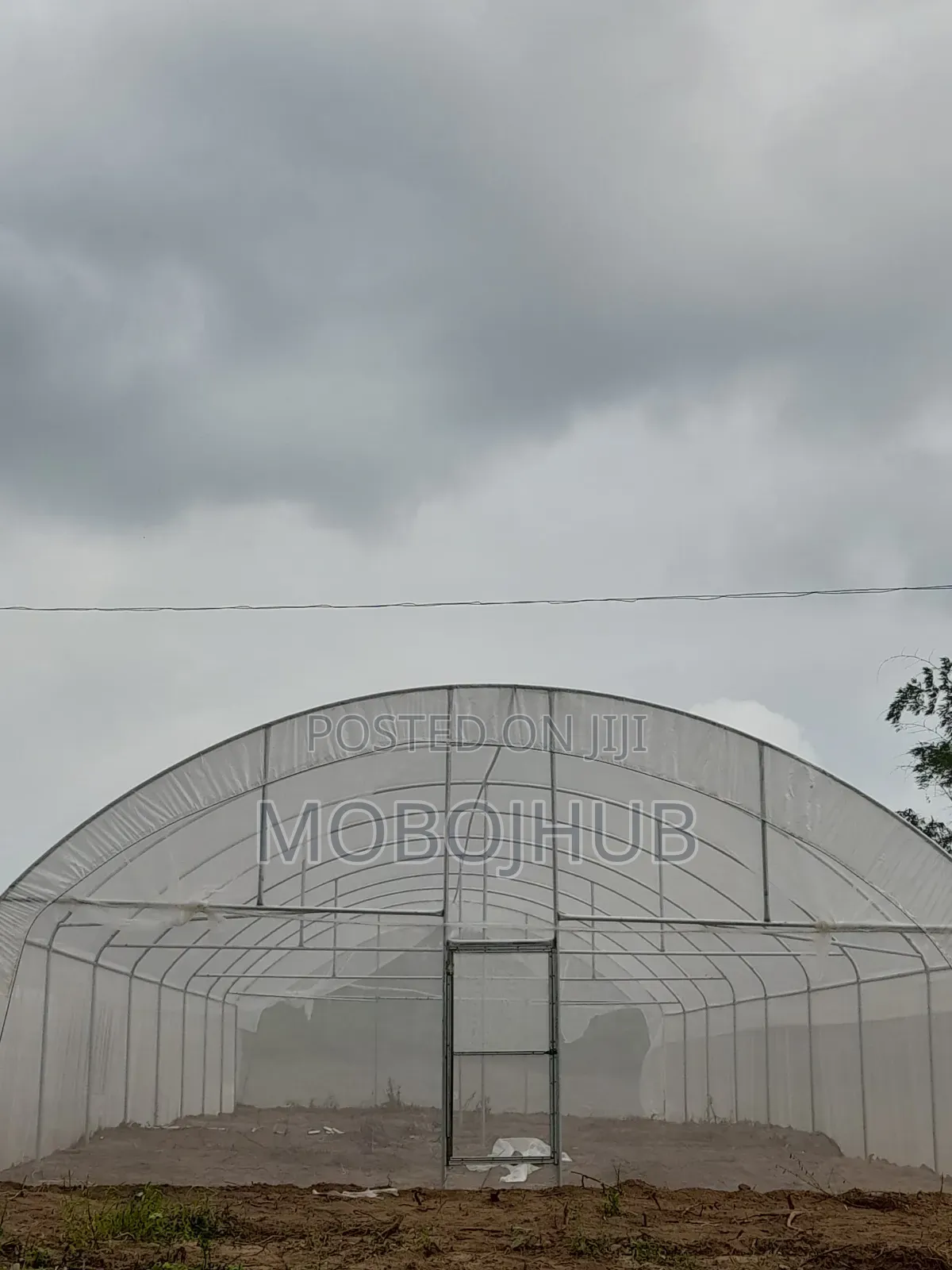 Premium Solarig Greenhouse Cover 205 Microns - Anti Uv (12.35m Wide)