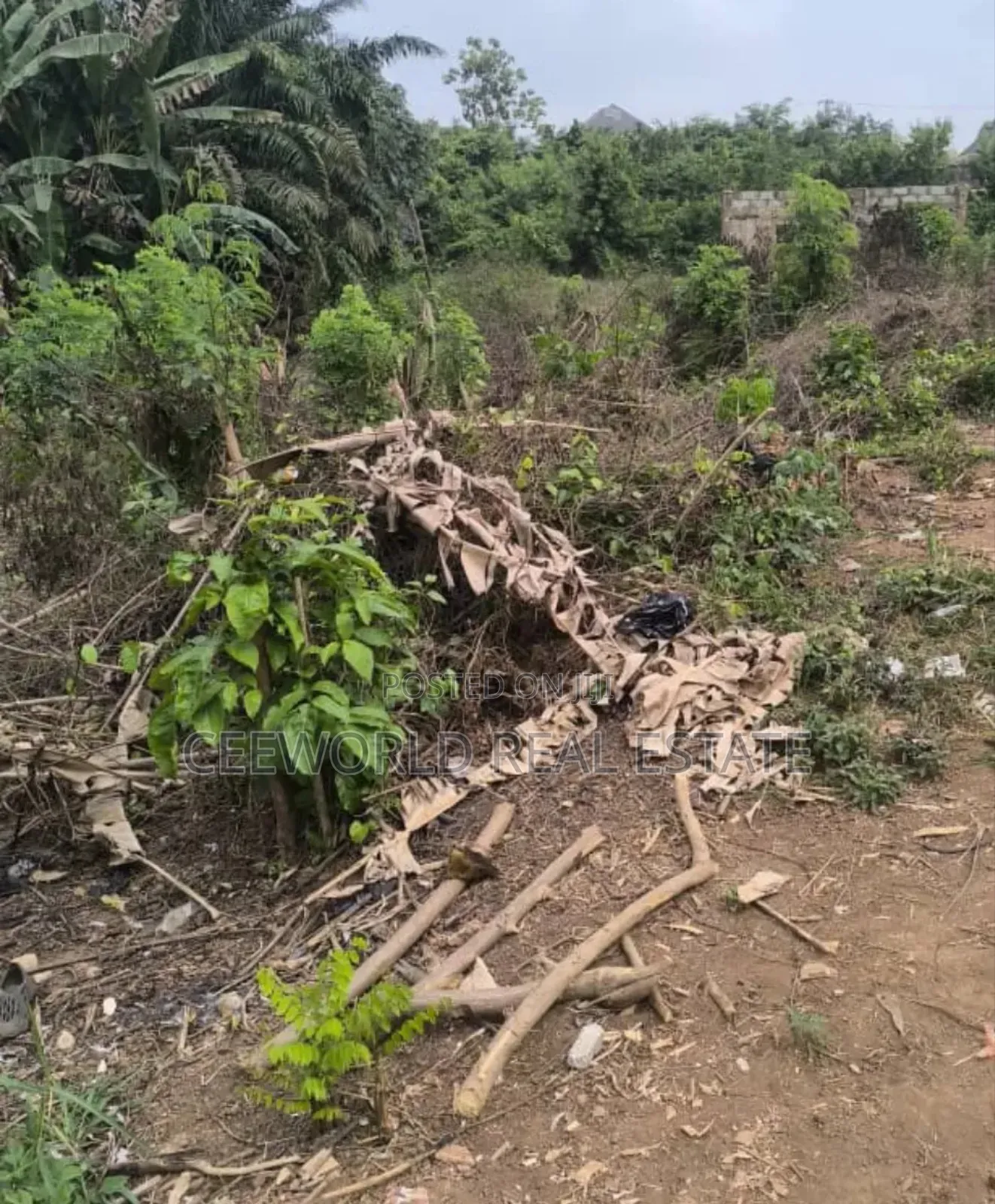 1300 SQM Fence and Gated Empty Land at Mokola Sango Ibadan