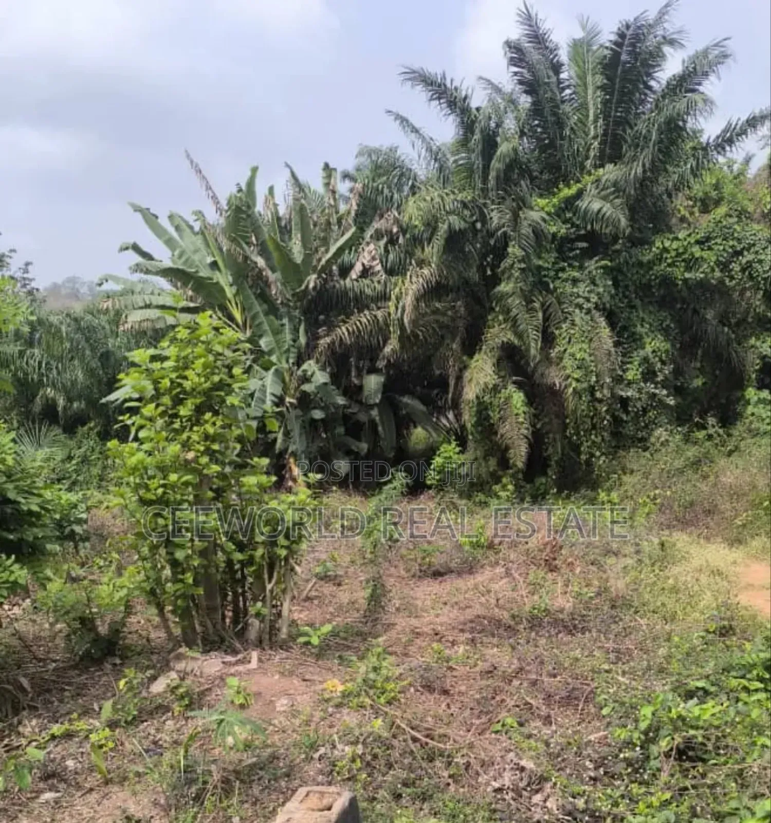 1300 SQM Fence and Gated Empty Land at Mokola Sango Ibadan