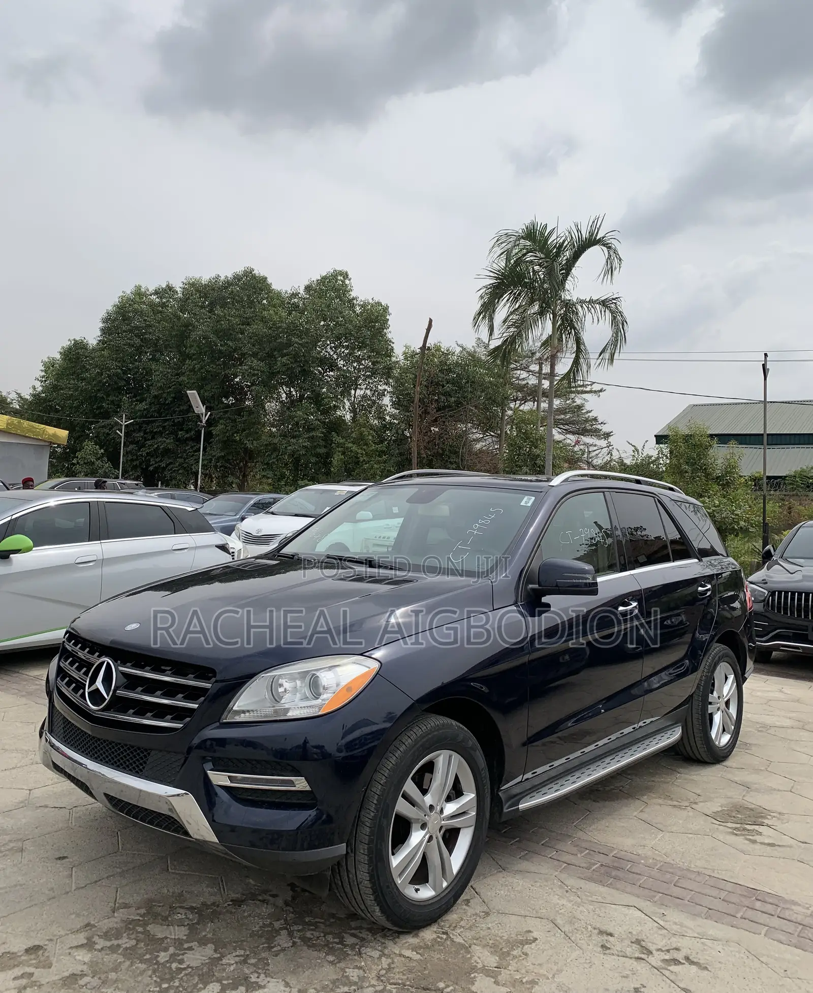 Mercedes-Benz M Class 2013 Blue