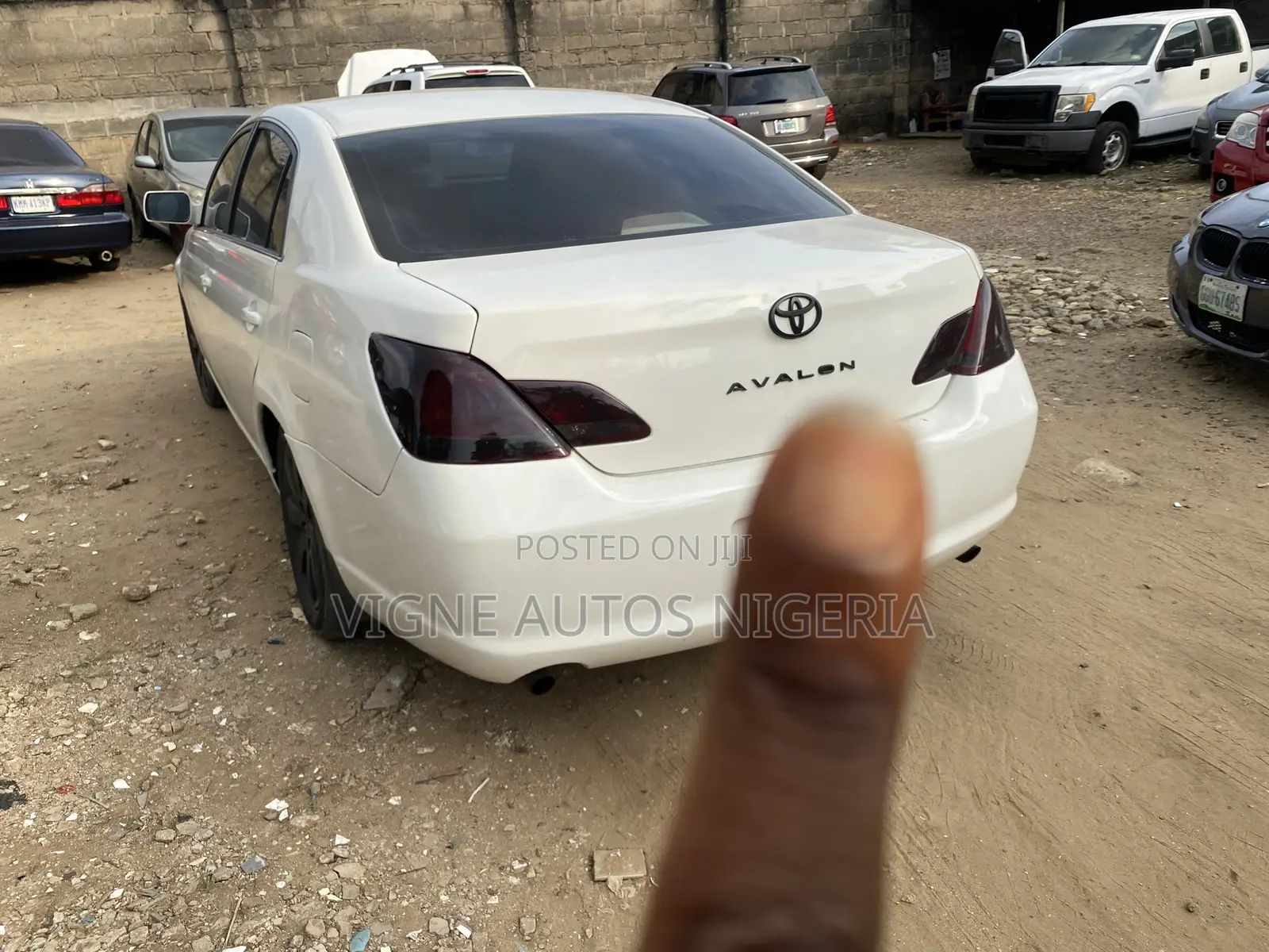 Car Rentals