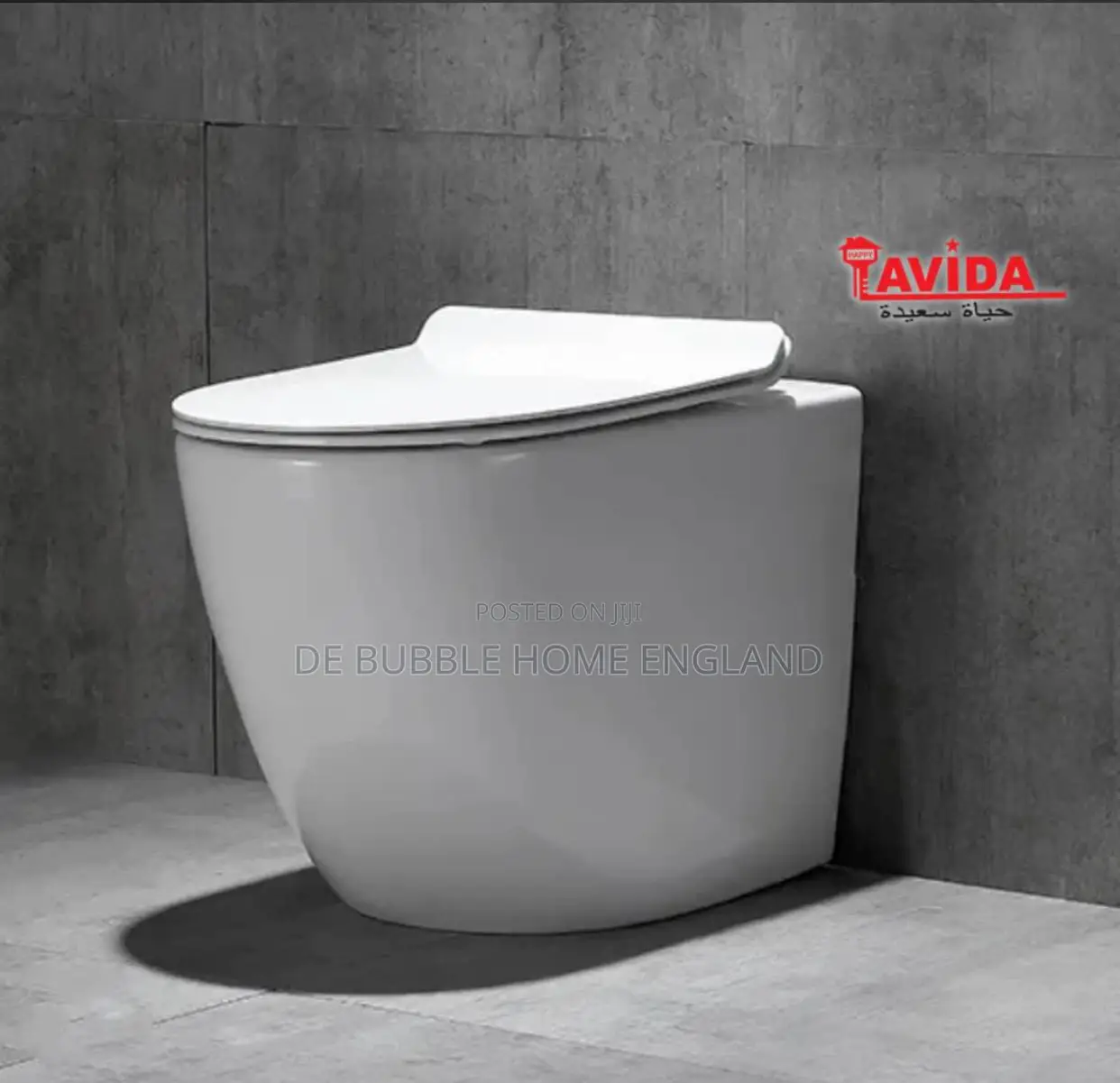 Seat on the Floor Concealed Wc