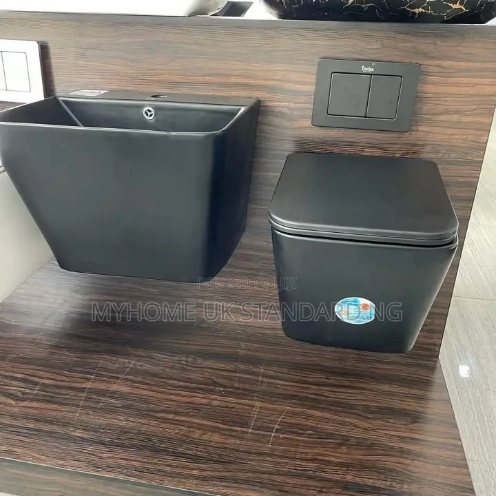 Black Wall Hung Water Closet With Suspended Basin