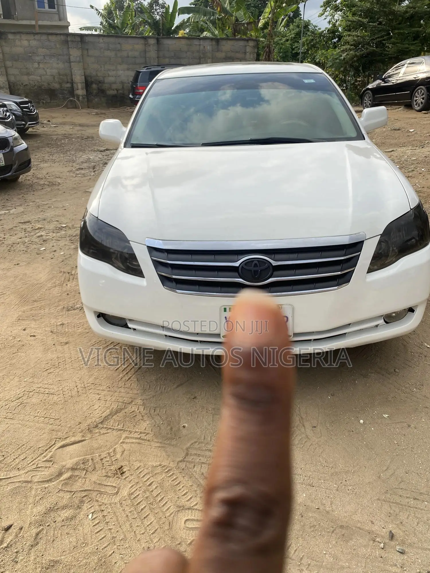 Car Rentals