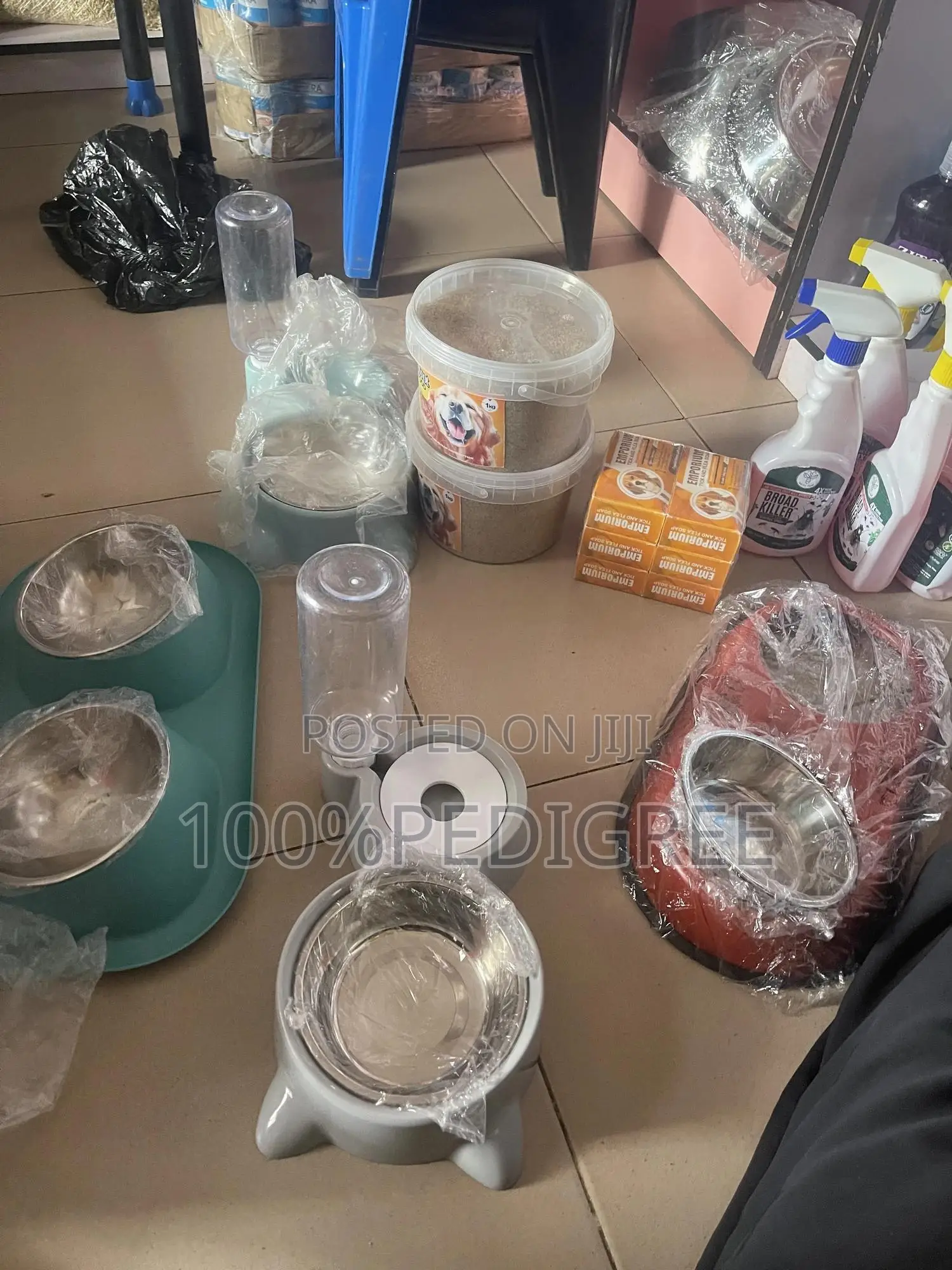 Dog Plates