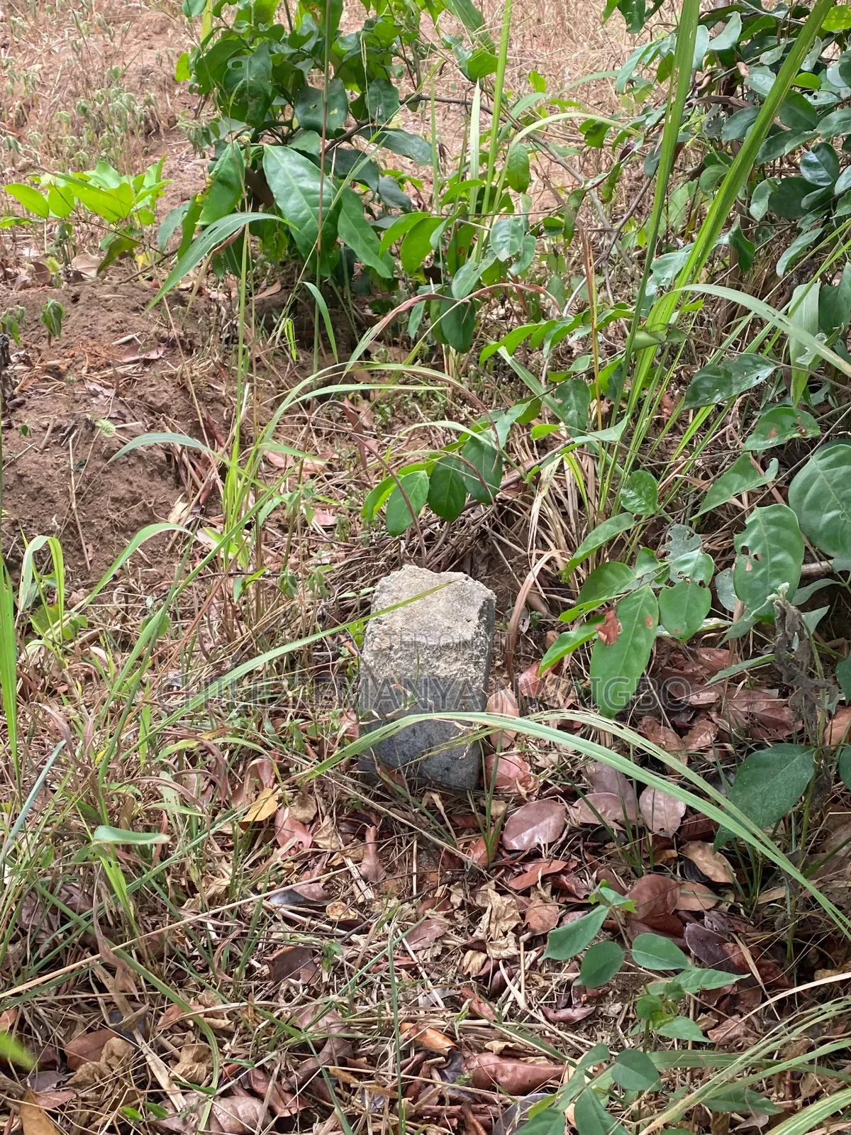 Prime 2 Plots in Inec Estate, Lodu Ibeku Umuahia (Allocation Paper)