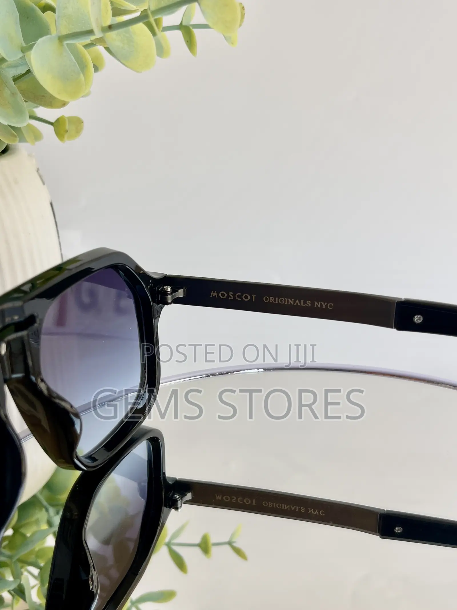 Luxury Moscot Designer Navigator Sunglasses – Premium Quality