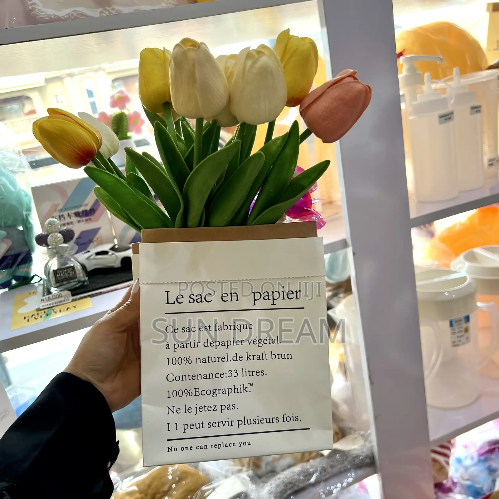 Flower Vase Tulips Vase Gift Bag