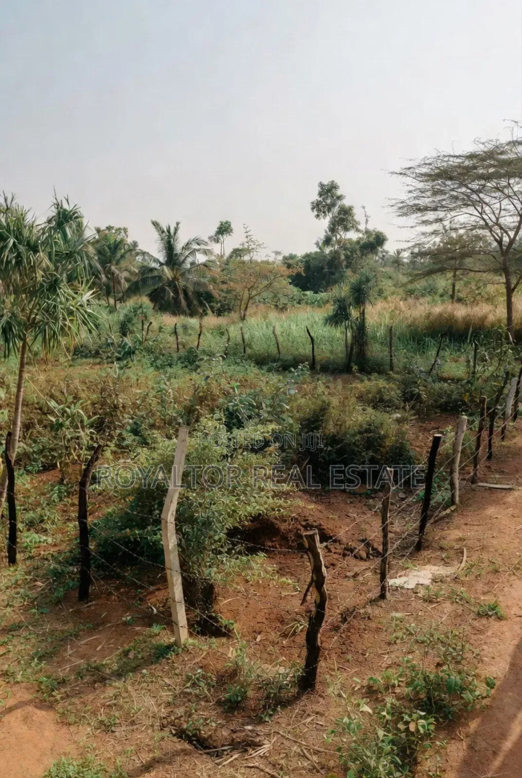 55 Plots for Sale Along Ogheghe, Sapele Road