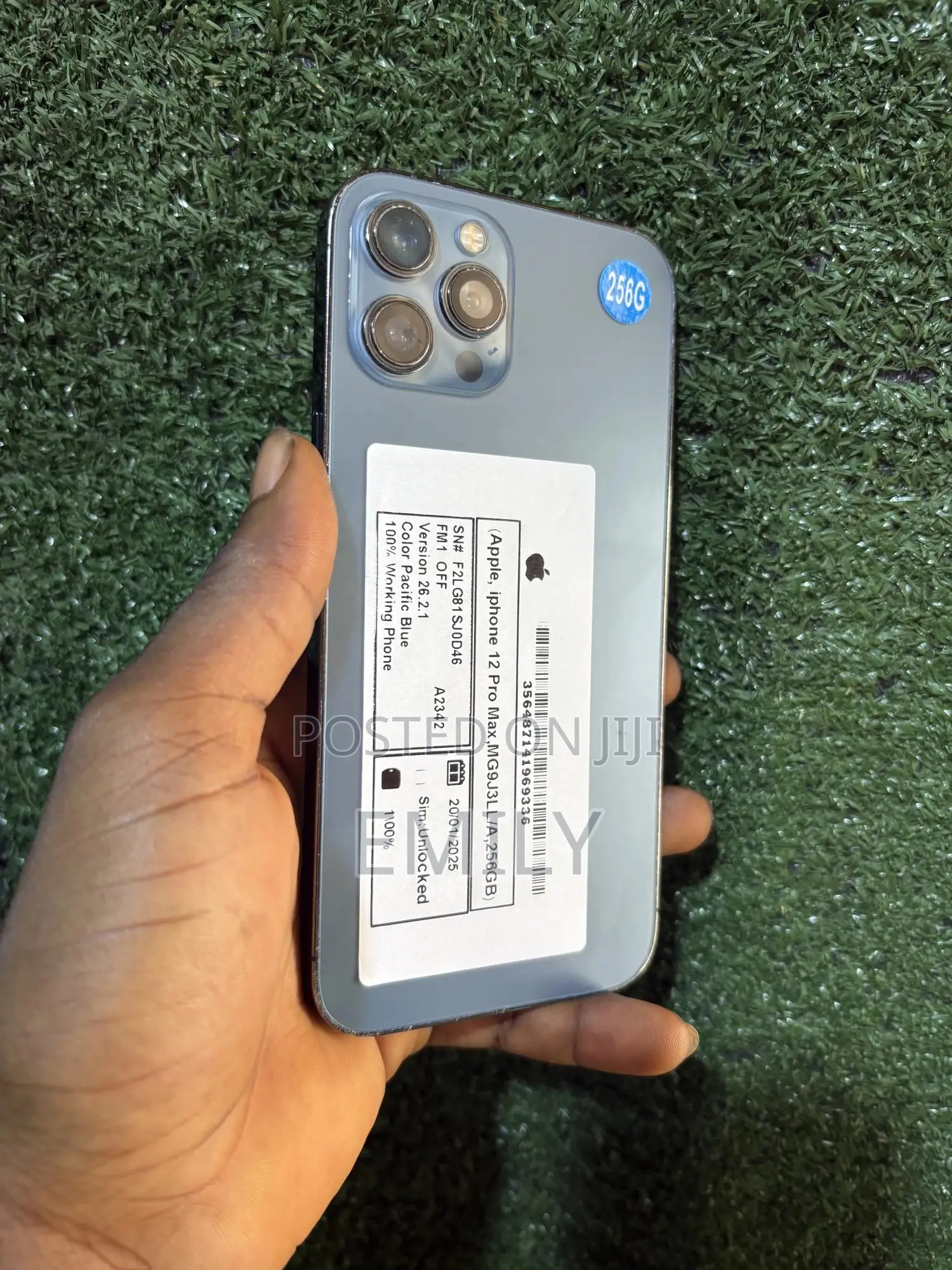 Apple iPhone 12 Pro Max 256 GB Blue
