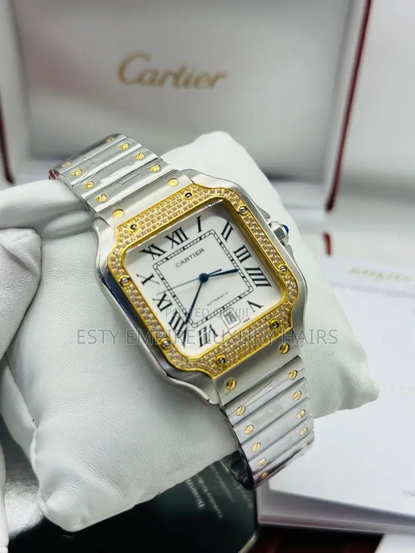 Automatic Cartier D Santos Watch With Stone Stainless Steel