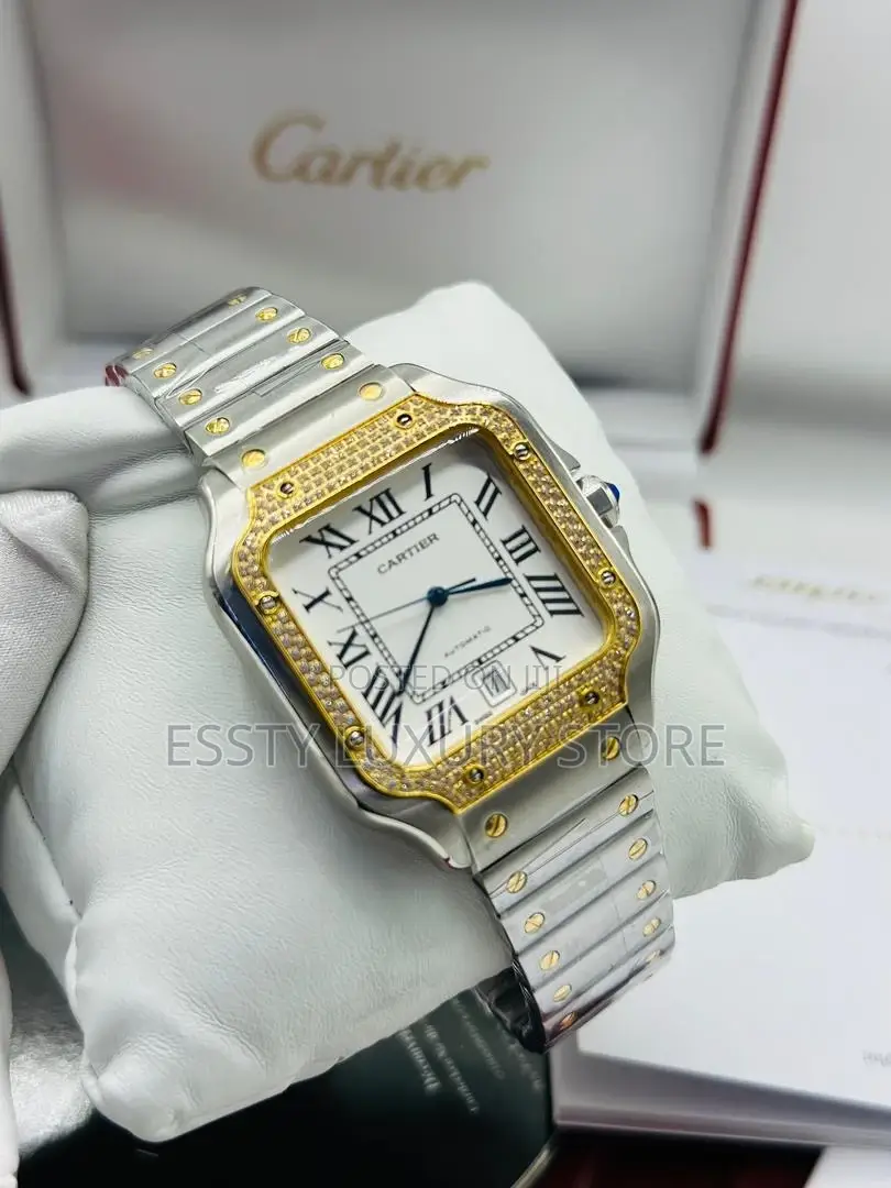 Automatic Cartier D Santos Watch With Stone Stainless Steel