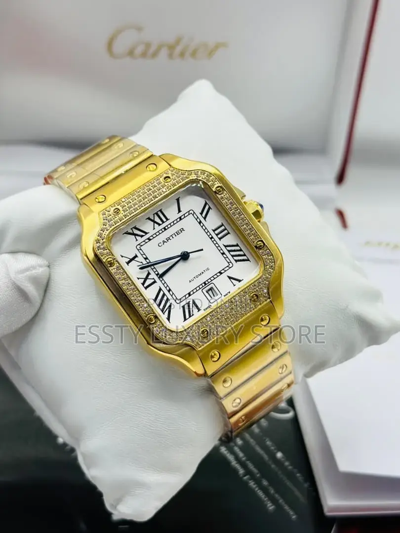 Automatic Cartier D Santos Watch With Stone Stainless Steel