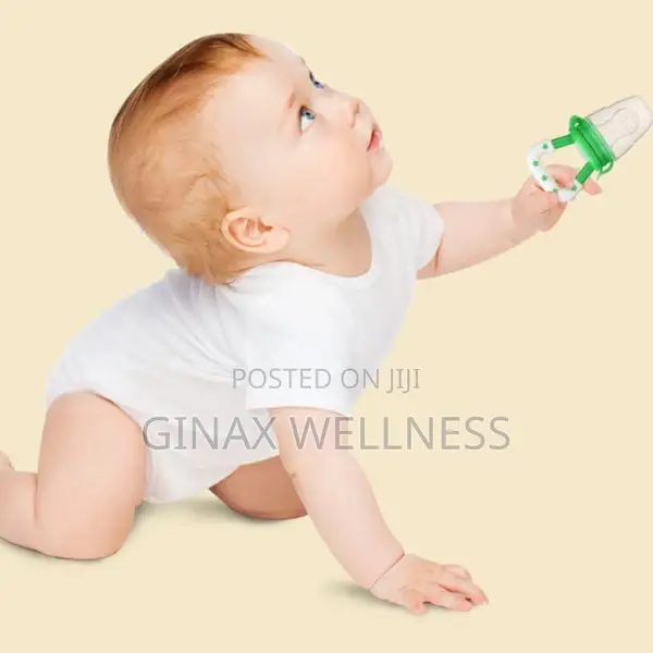 Baby Fruits Feeder Pacifier (4+ Months) | Soft Silicone And Bpa-free