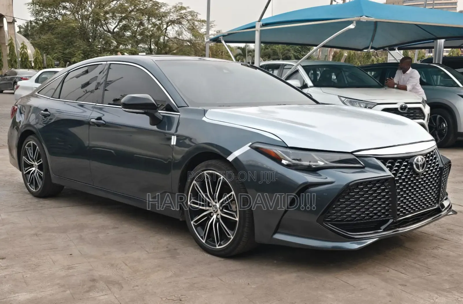 Toyota Avalon 2023 Gray
