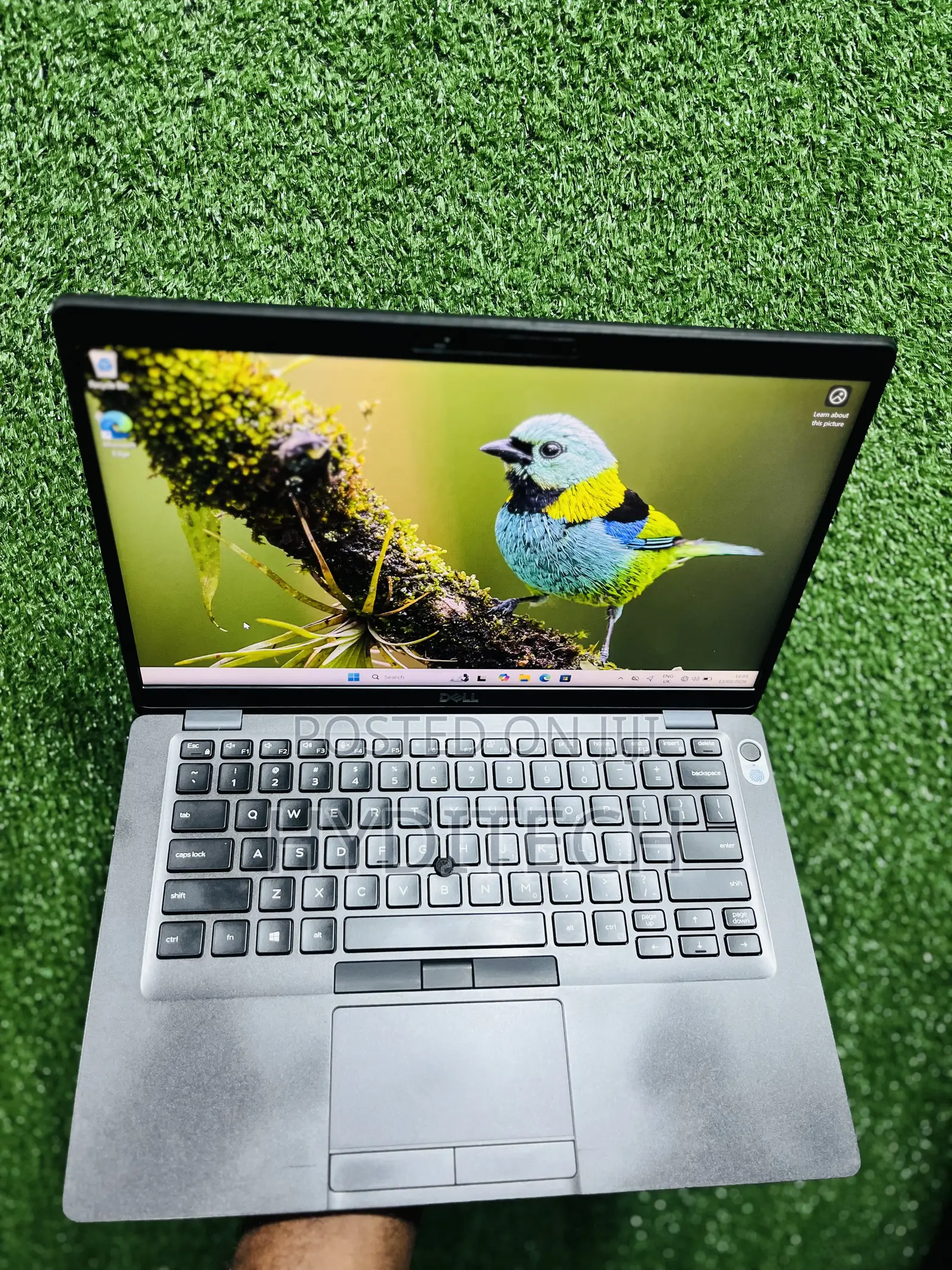 Laptop Dell Latitude 5401 16GB Intel Core i7 SSD 256GB