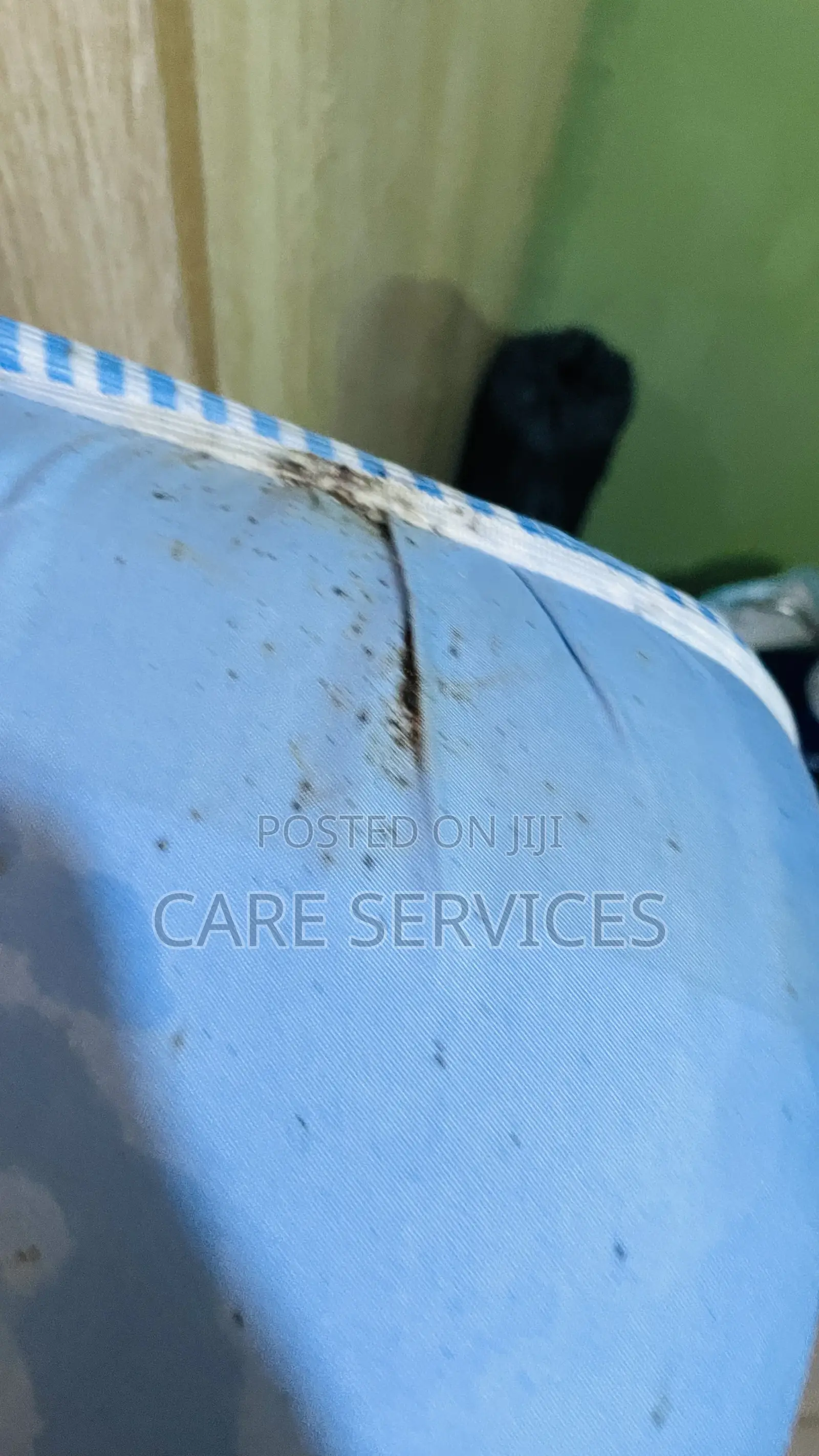 Professional Bedbugs Treatment in Lagos