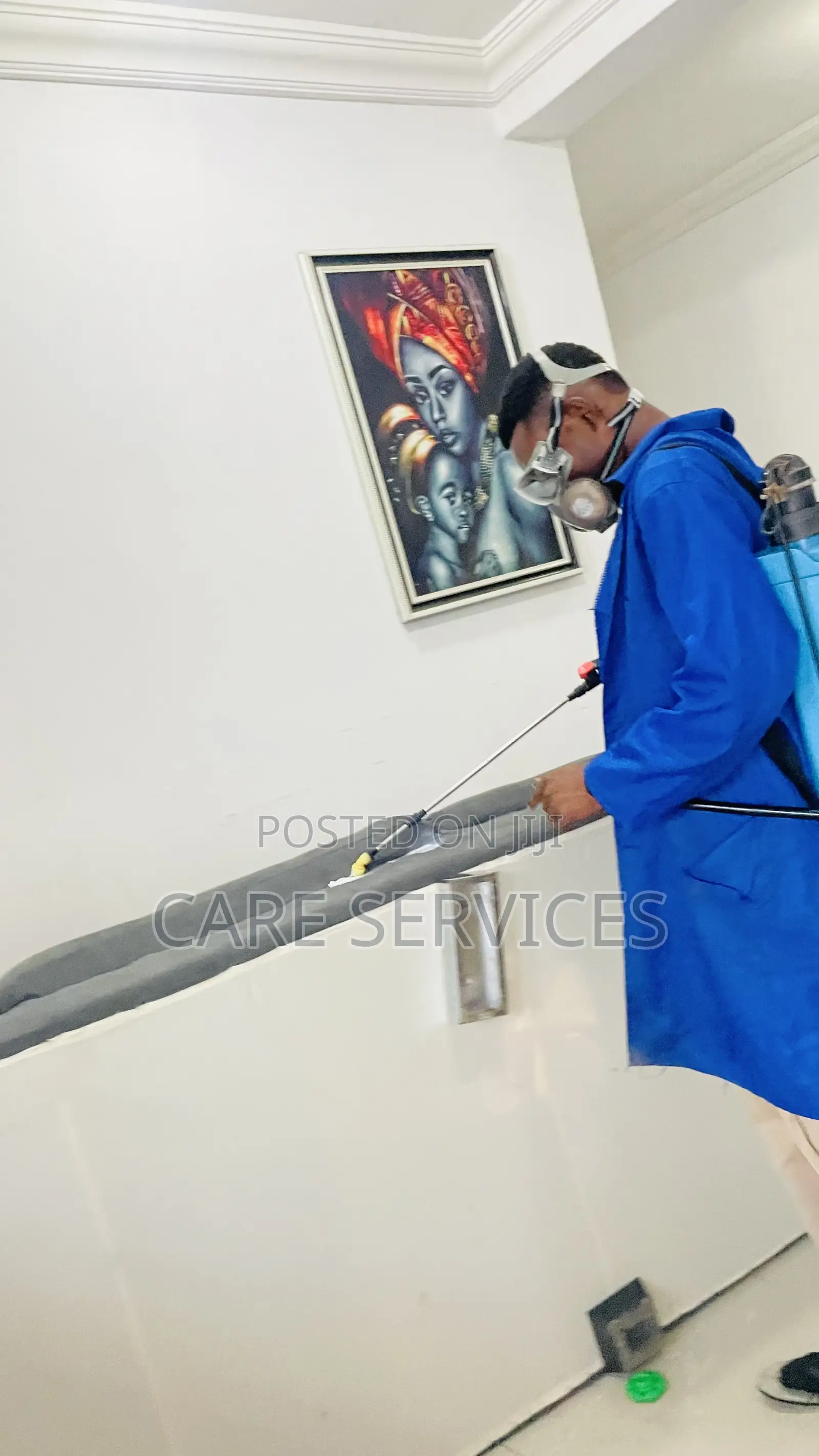 Professional Bedbugs Treatment in Lagos