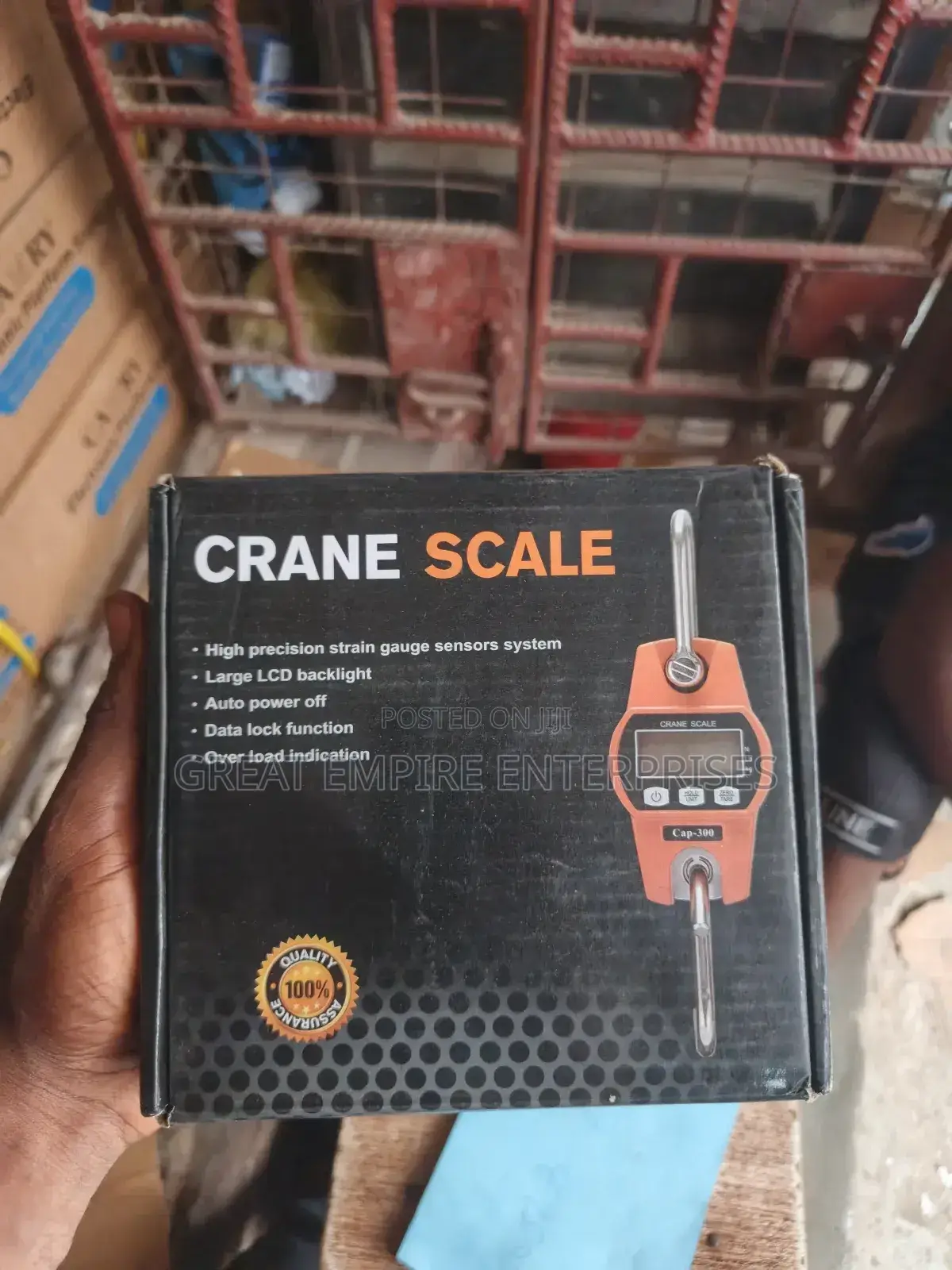 300kg Crane Scale