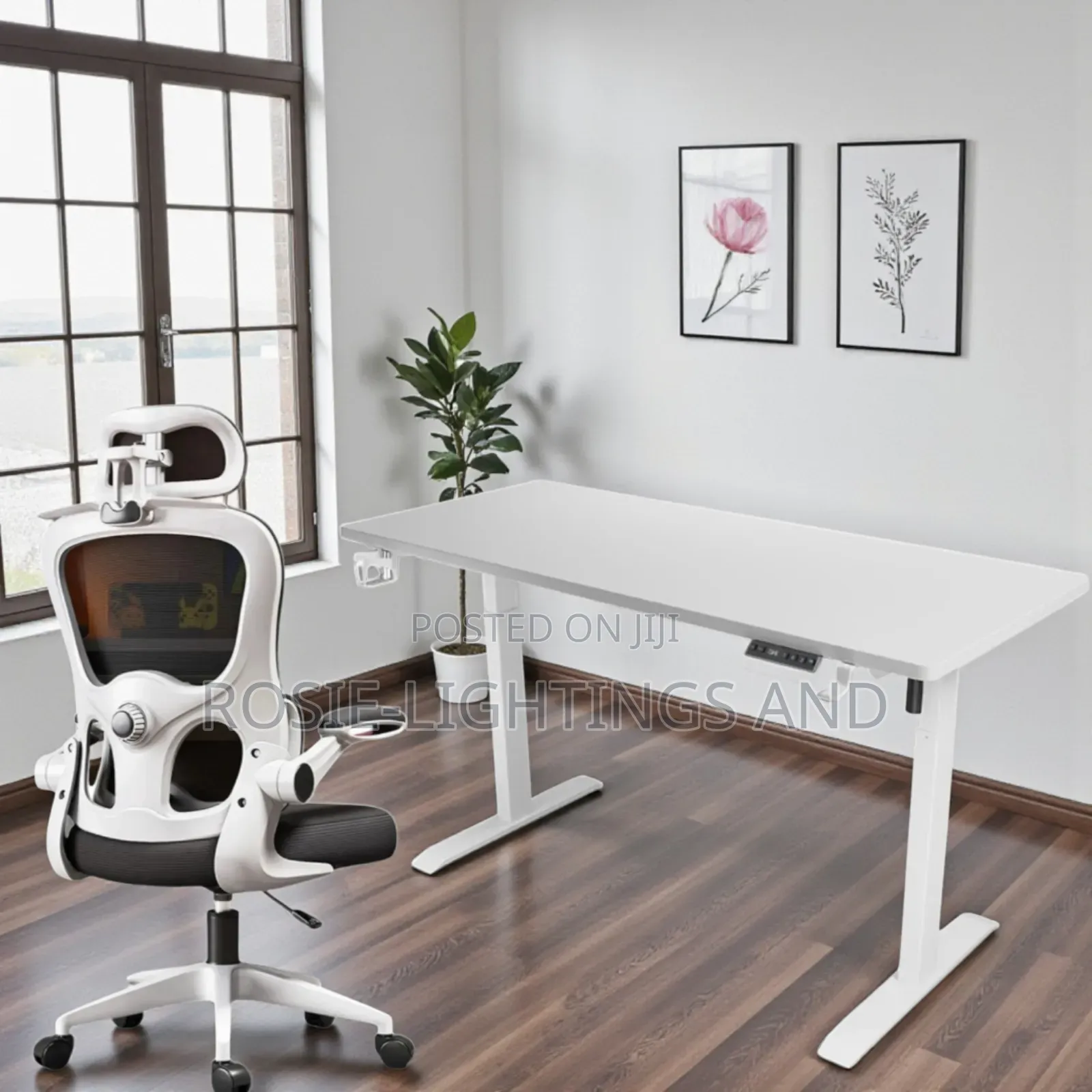 A Set of Electric Sit to Stand Desk Egornomic Swivel Office Chair