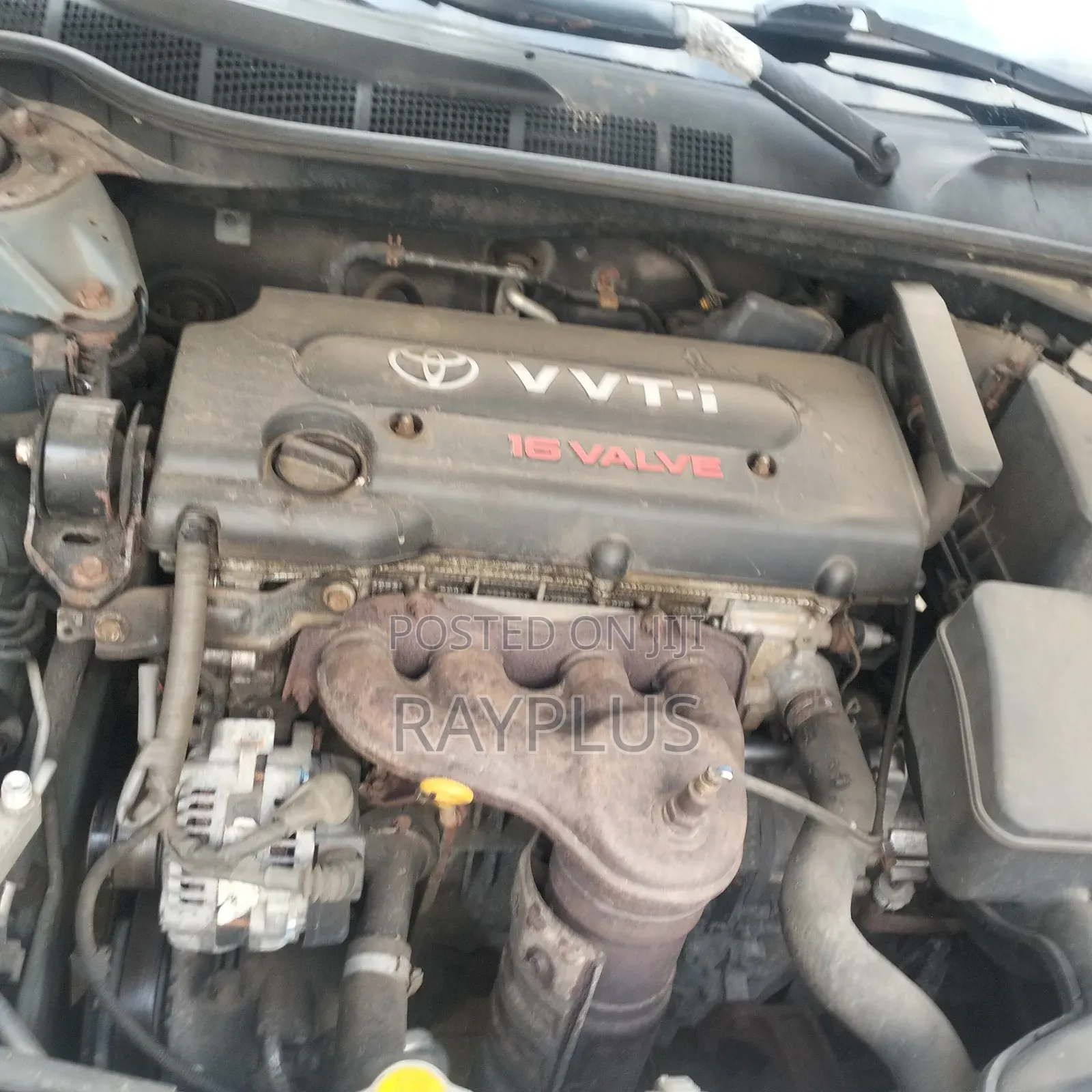 Toyota Camry LE 4dr Sedan (2.4L 4cyl 5A) 2007 Green