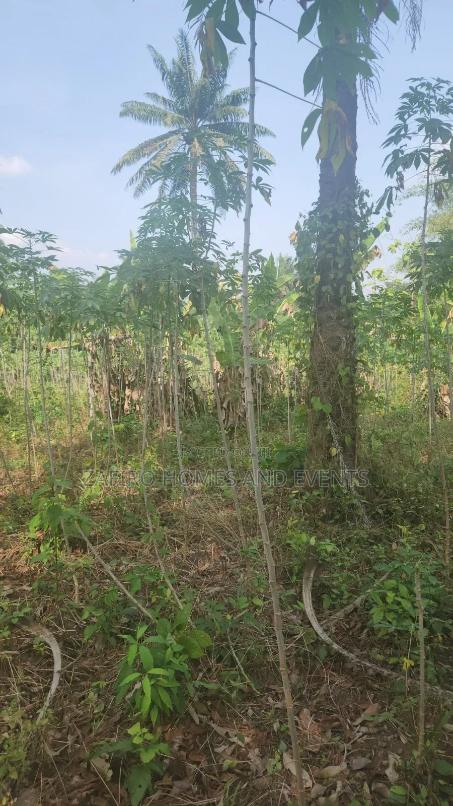 2 Acres of Farmland Near Sukuru for Sale