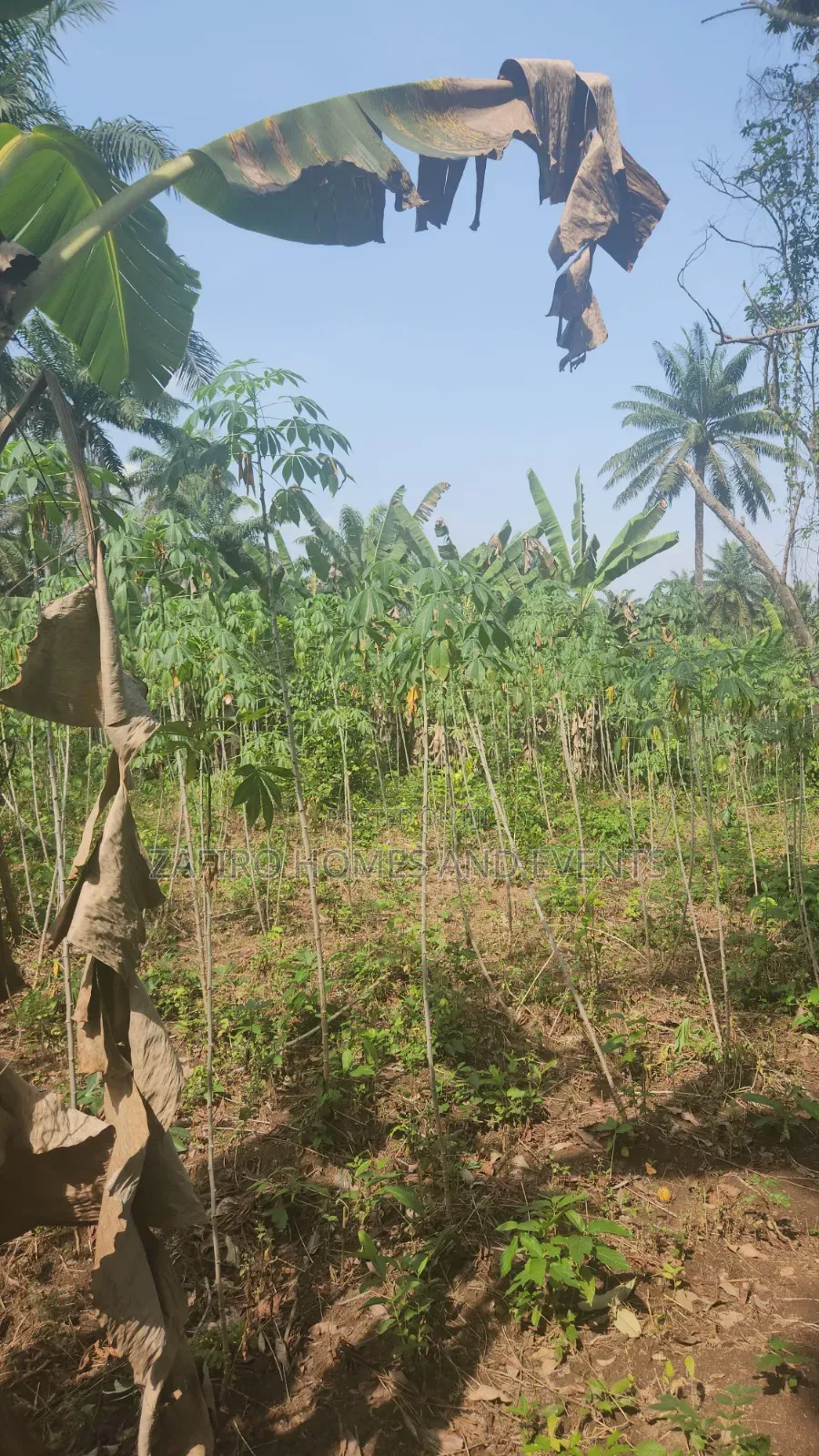 2 Acres of Farmland Near Sukuru for Sale