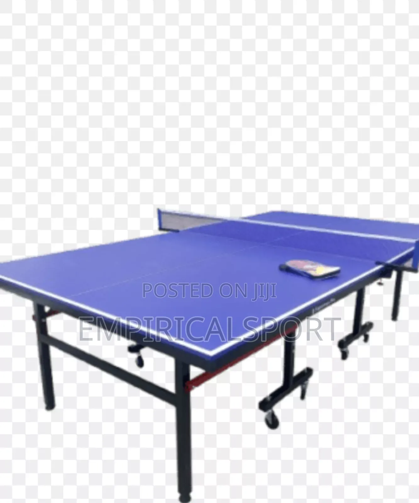 Indoor Table Tennis