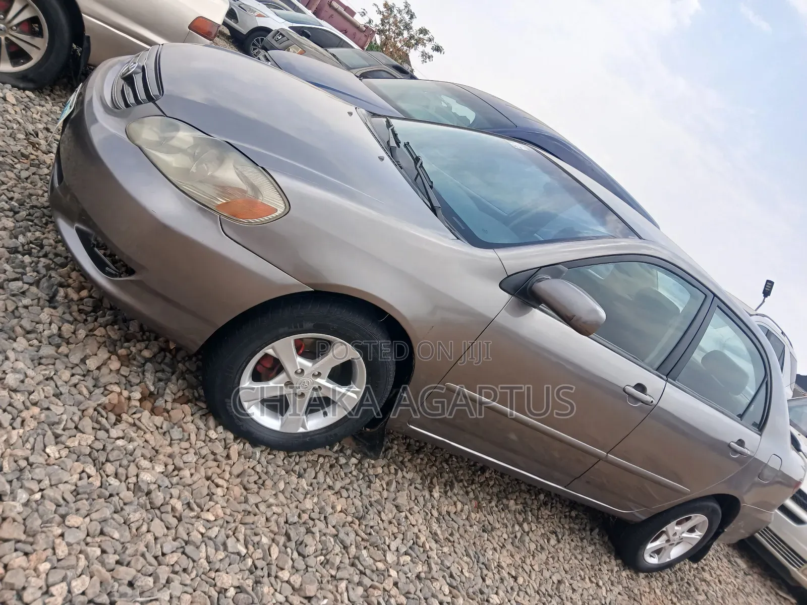 Toyota Corolla 2004 Gray
