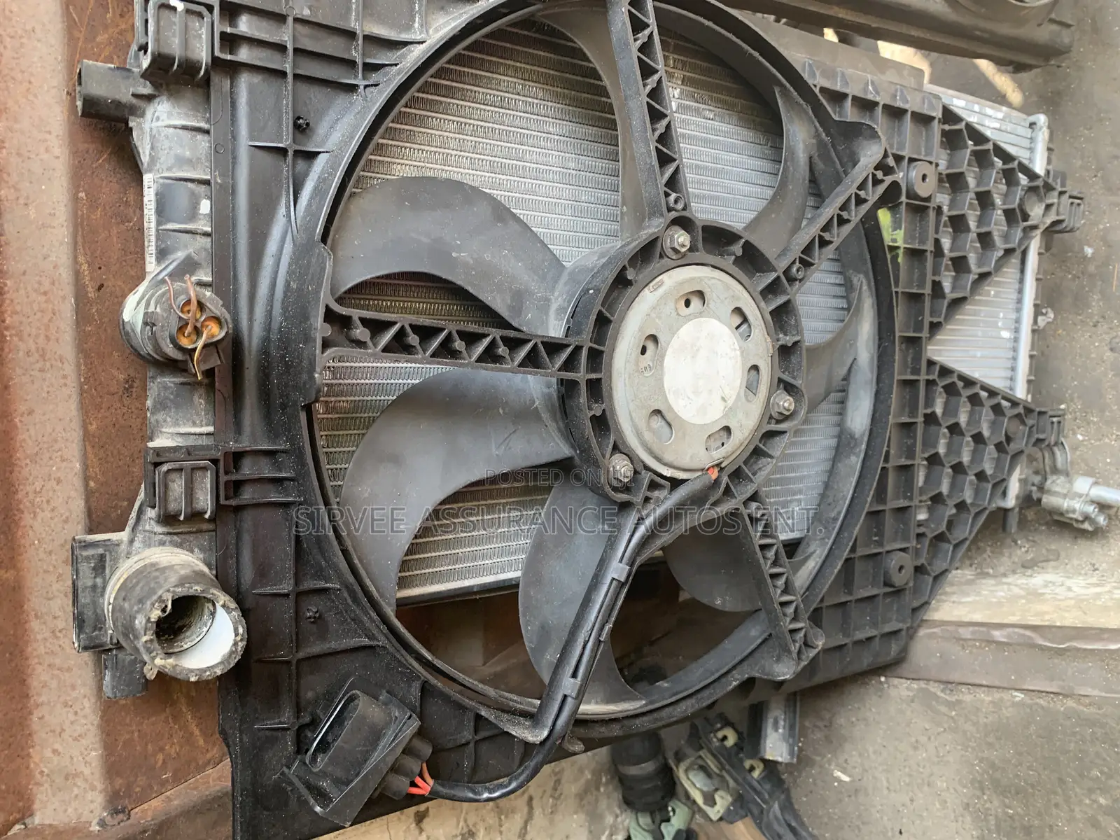 Fan Volkswagen Polo013