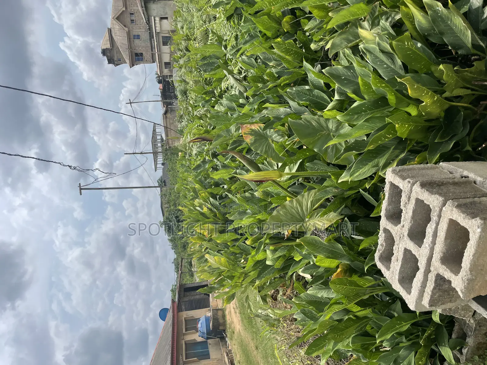 Half Plot of Land