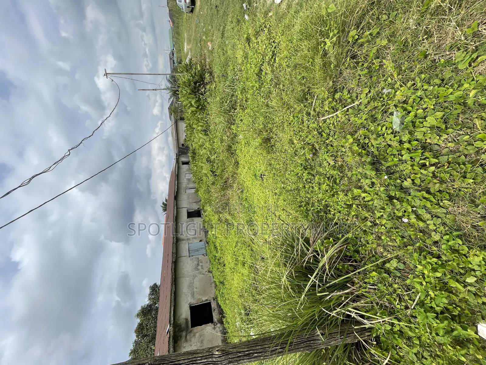 Half Plot of Land