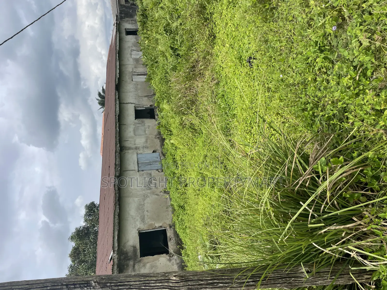 Half Plot of Land