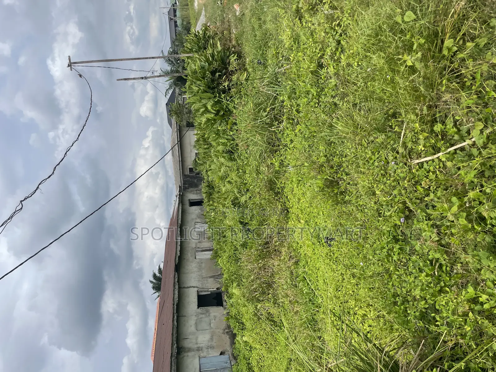 Half Plot of Land