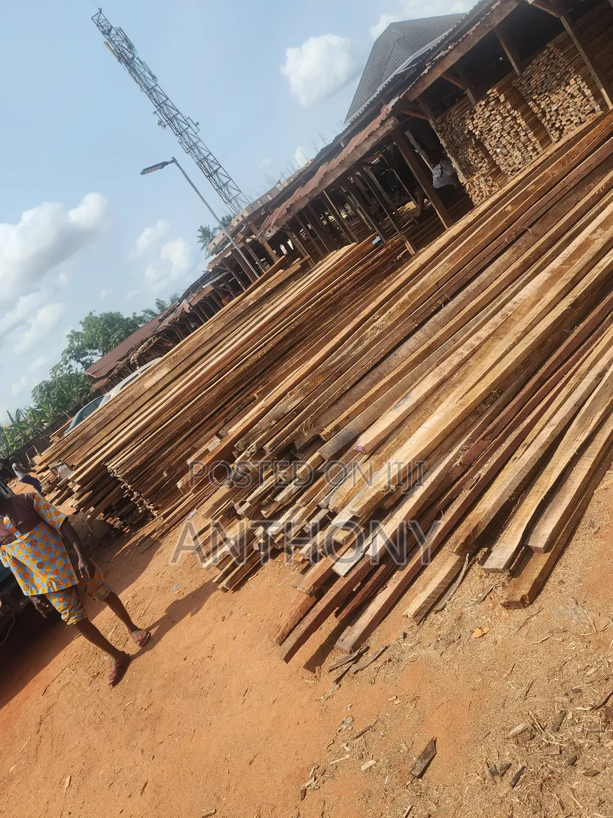 Woods for Roofing Decking Furniture Etc