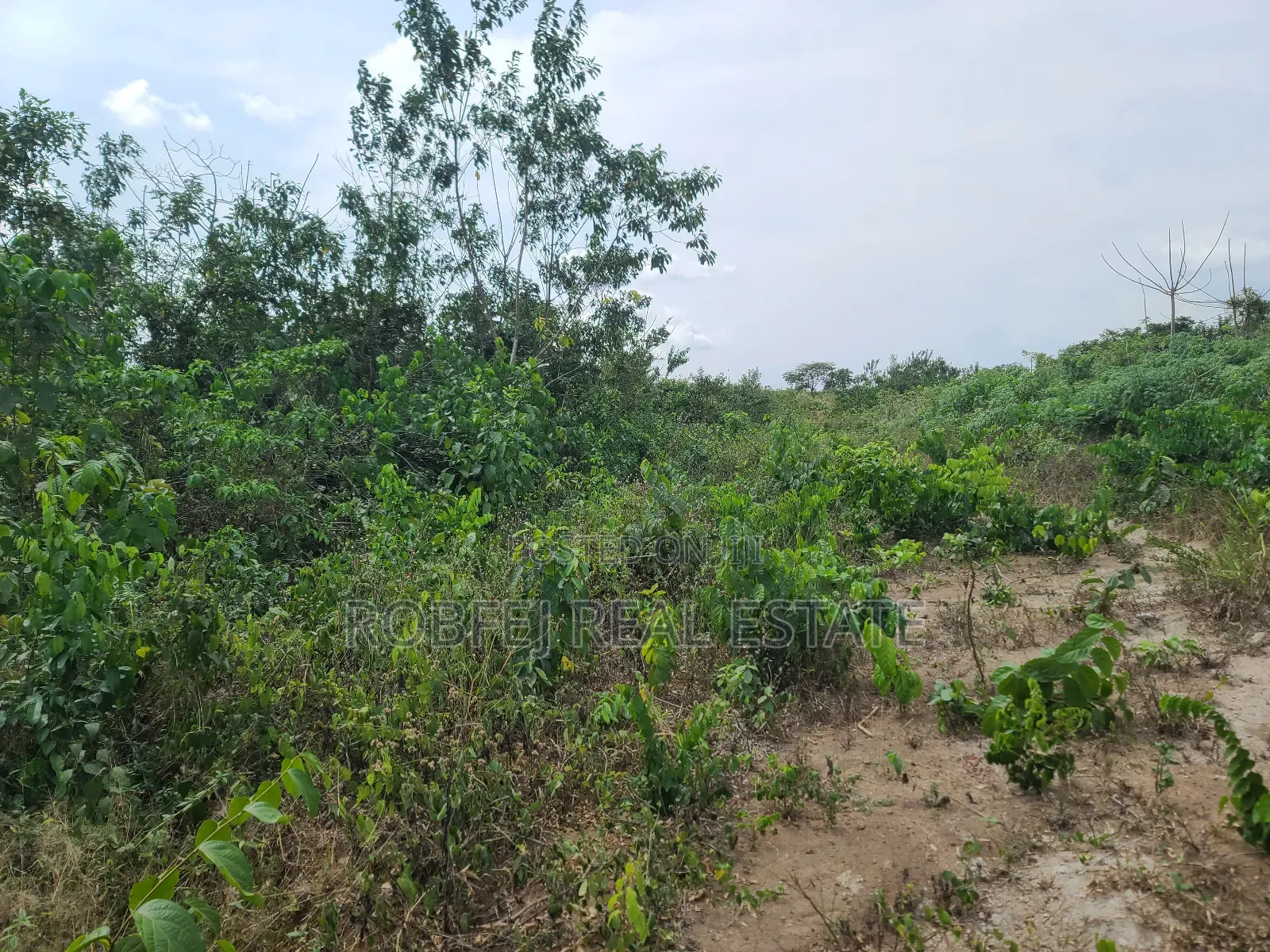 Poka Epe Upland