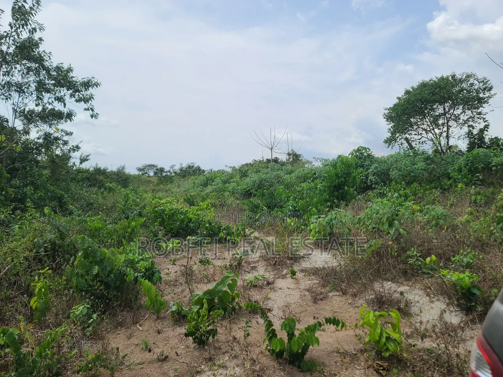 Poka Epe Upland