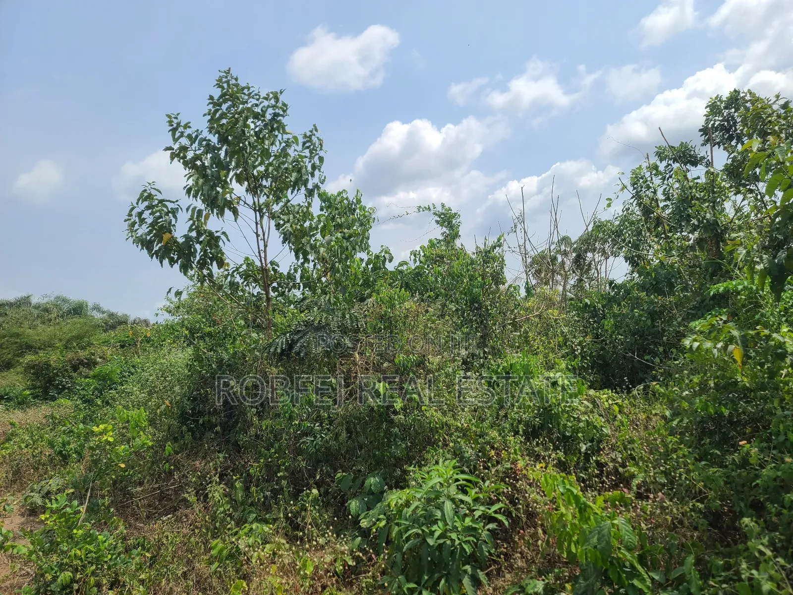 Poka Epe Upland