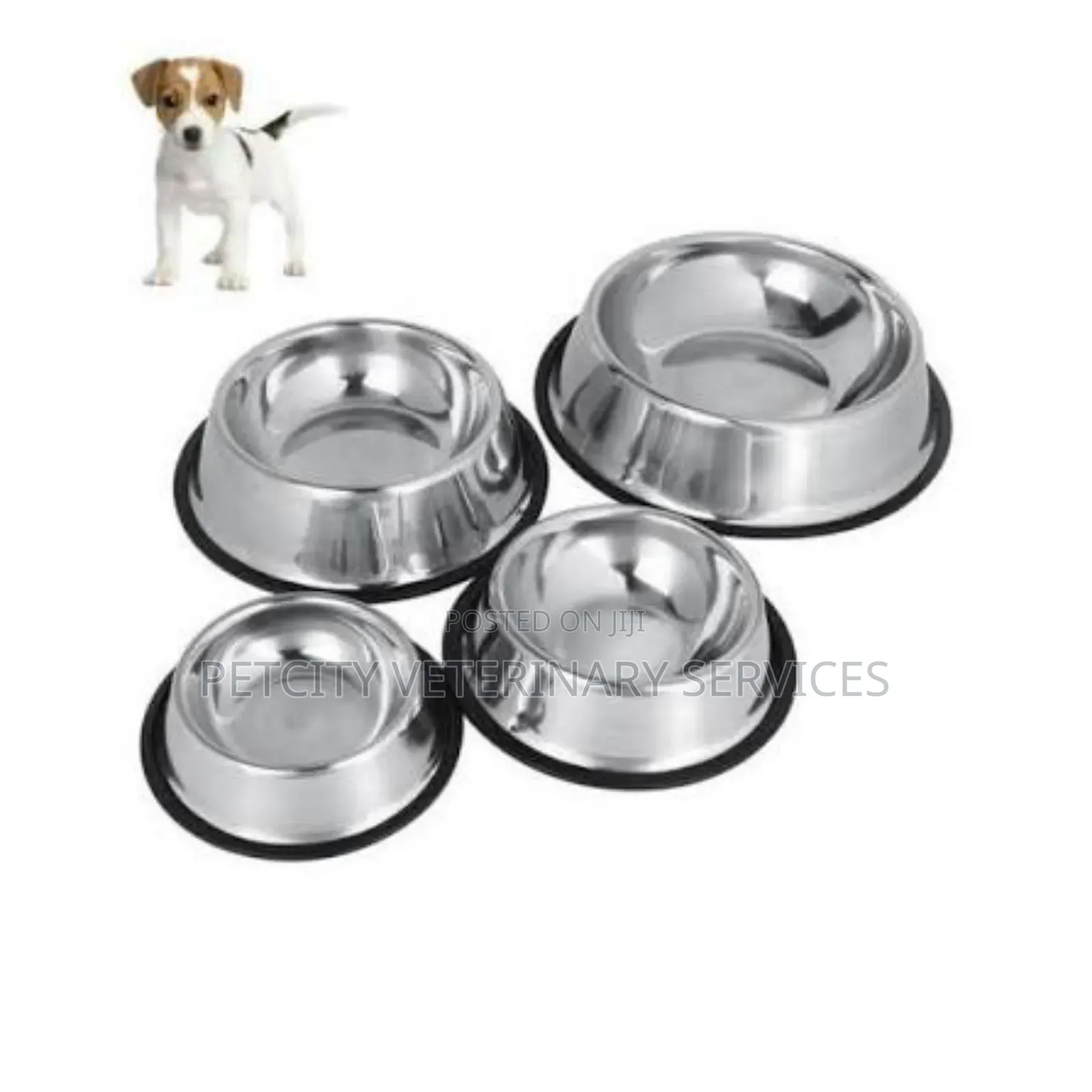 Stainless Steel Feed Bowl