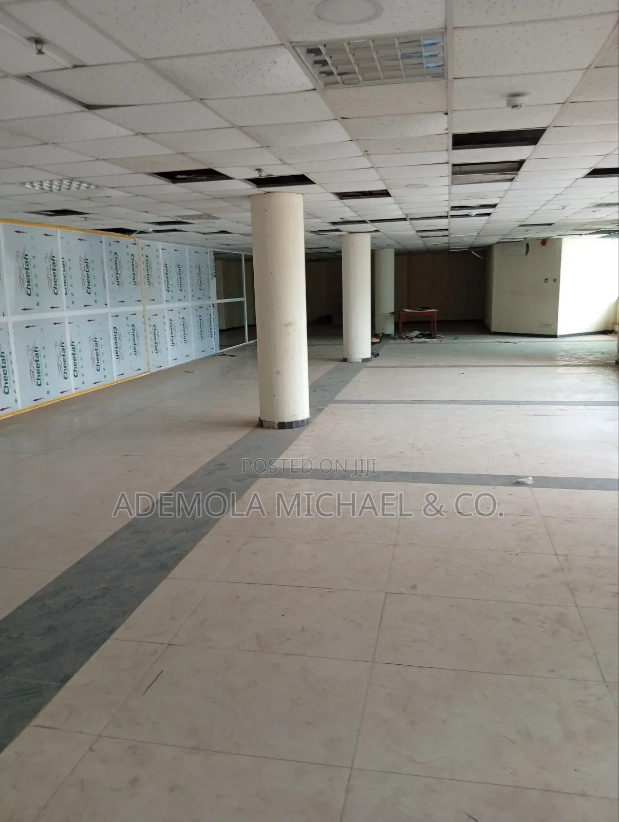 Open Space in Central Area Abuja