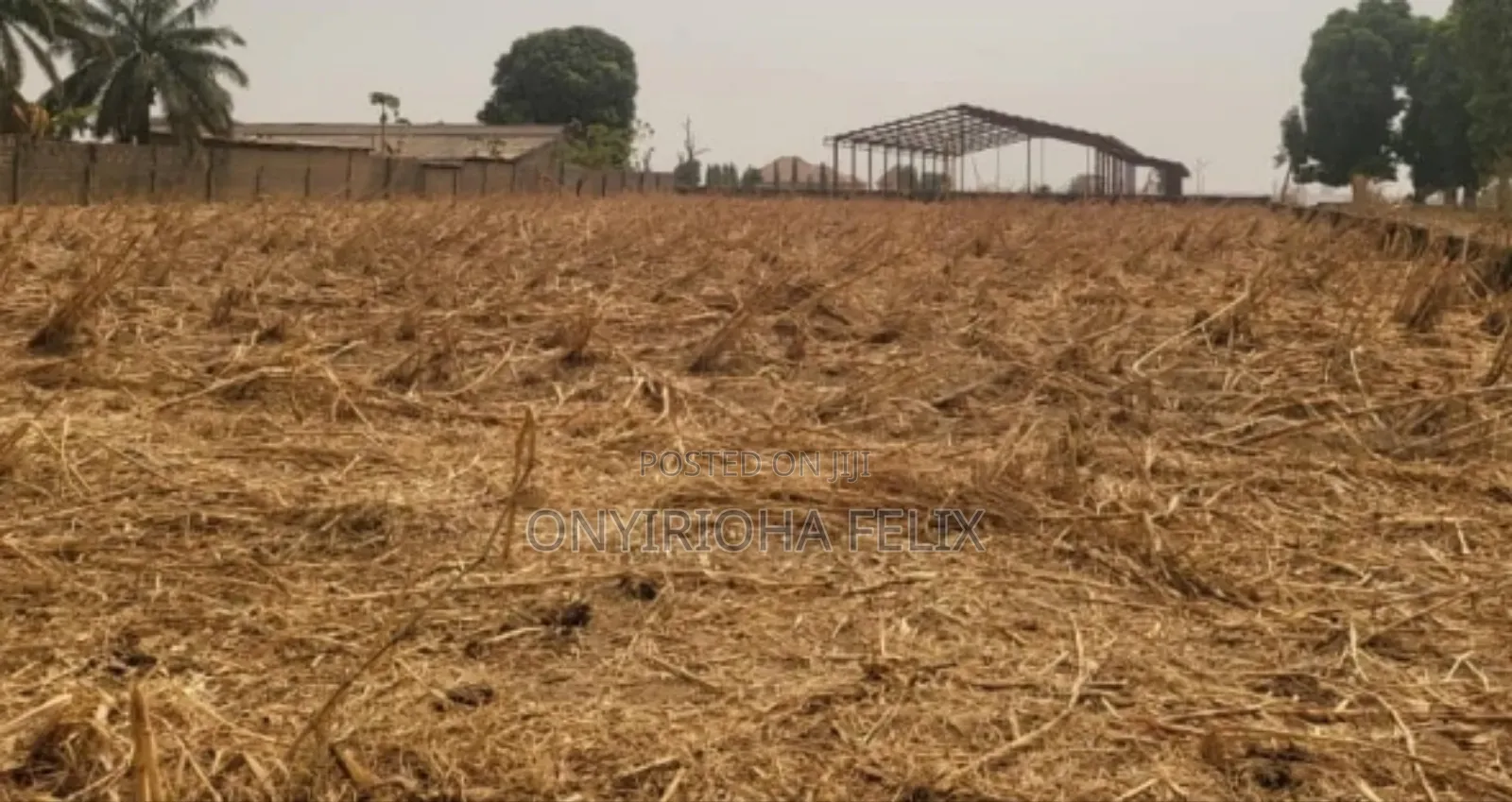 Certificate of Occupancy