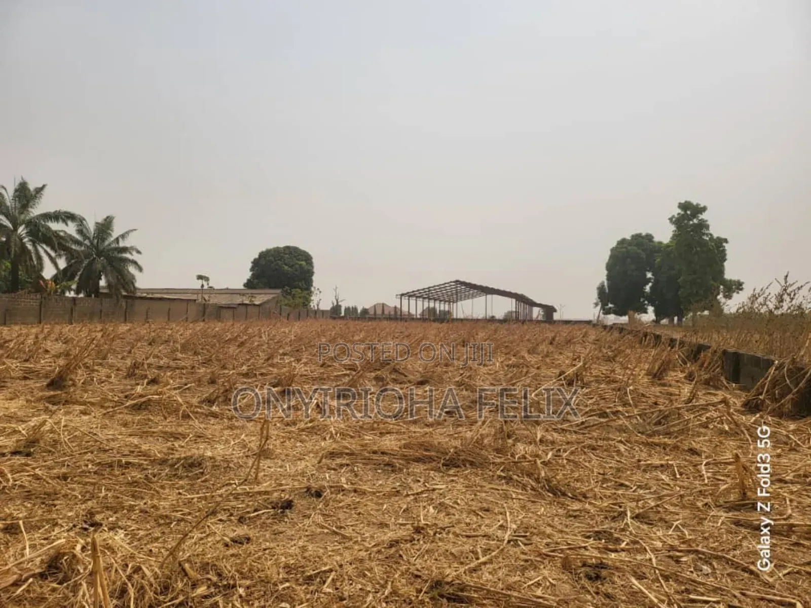 Certificate of Occupancy