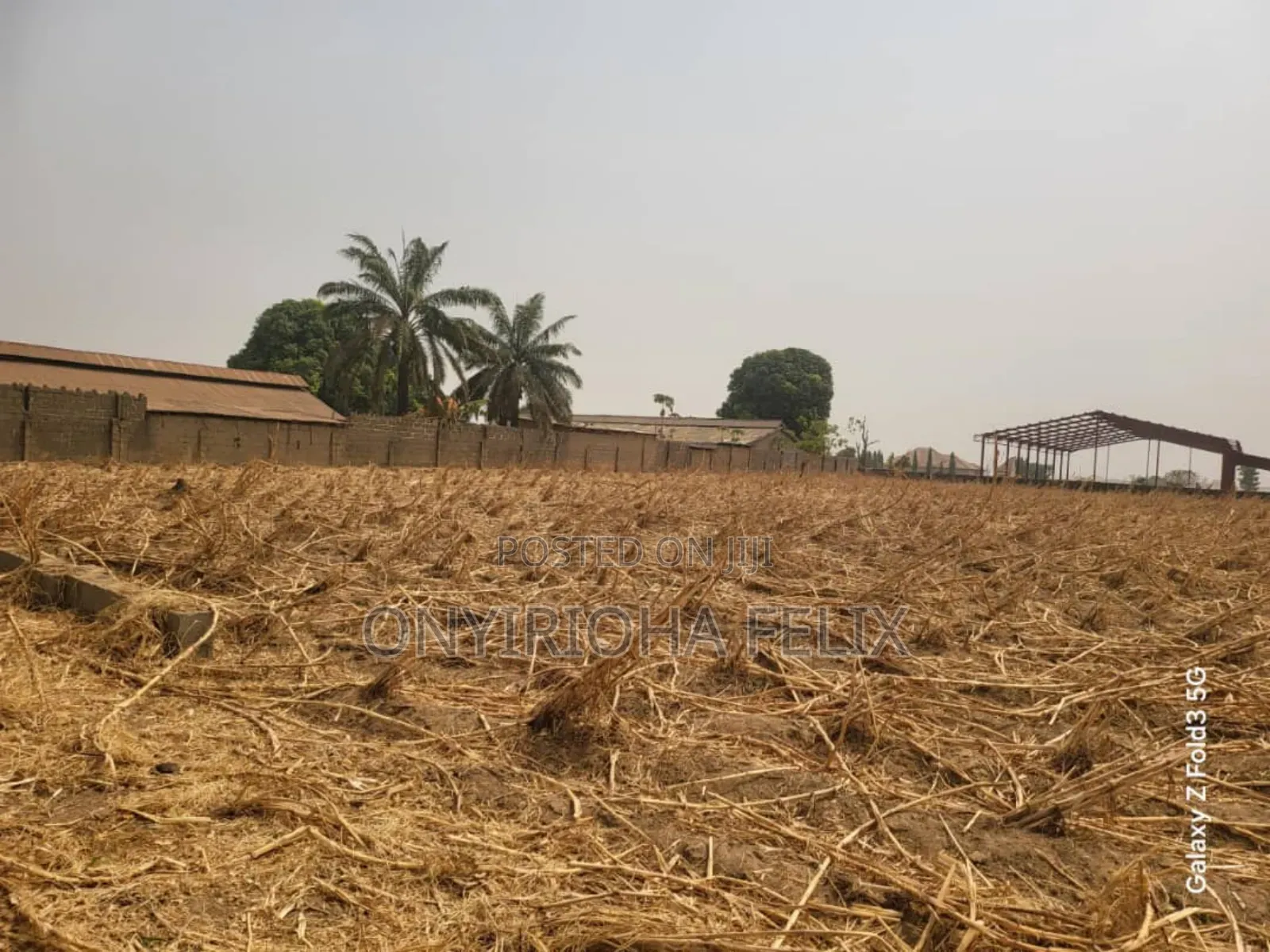 Certificate of Occupancy