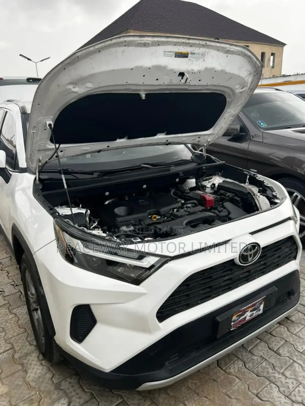 Toyota RAV4 2023 White